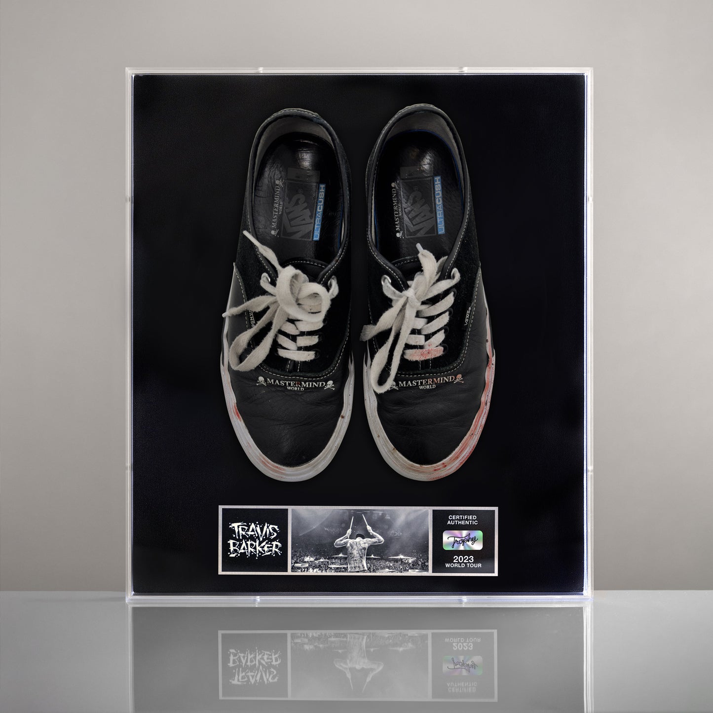Tour Worn Vans